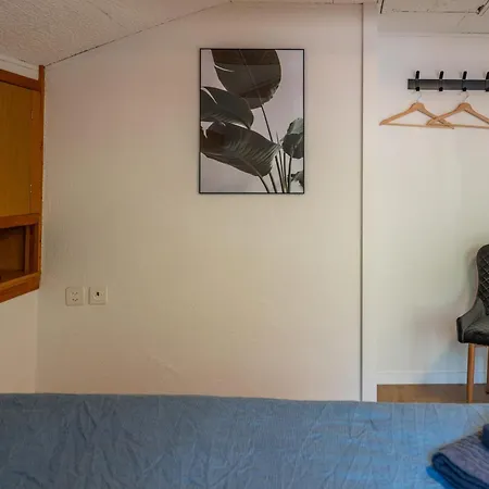 Apartamento Large In Town Center Next To Brunngasse & Near