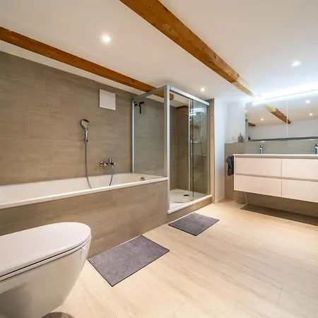 Large In Town Center Next To Brunngasse & Near Apartment *