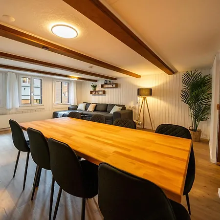 Apartment Large In Town Center Next To Brunngasse & Near