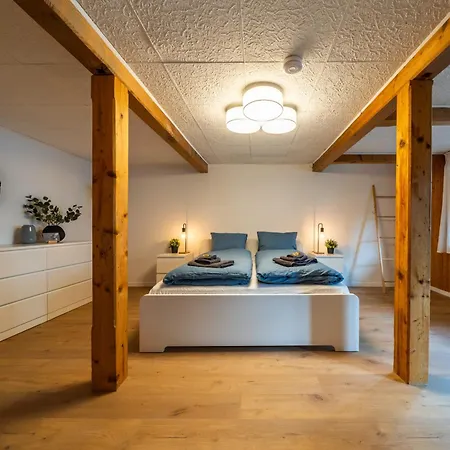Large In Town Center Next To Brunngasse & Near Apartment