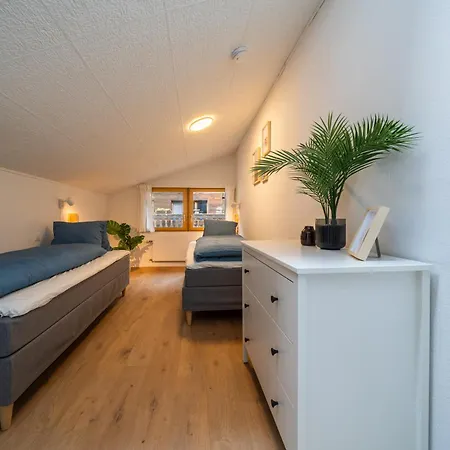 Large In Town Center Next To Brunngasse & Near