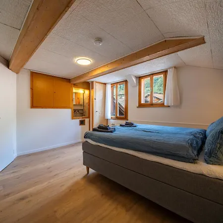 Apartment Large In Town Center Next To Brunngasse & Near Brienz (Bern)
