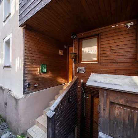 Large In Town Center Next To Brunngasse & Near Brienz (Bern)