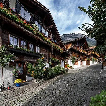 Large In Town Center Next To Brunngasse & Near