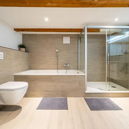 Large In Town Center Next To Brunngasse & Near