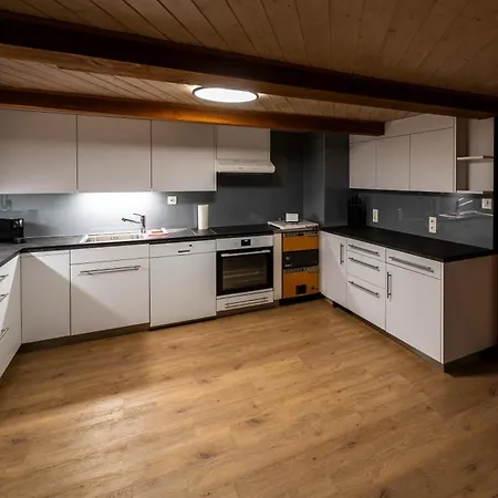 Apartament Large In Town Center Next To Brunngasse & Near