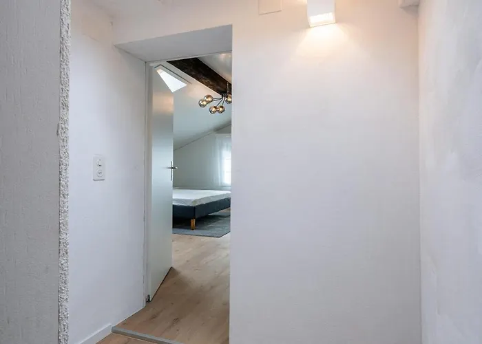 Apartament Large In Town Center Next To Brunngasse & Near