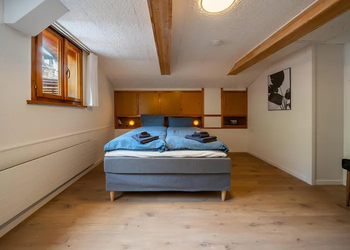 Large In Town Center Next To Brunngasse & Near Apartament Brienz (Bern)