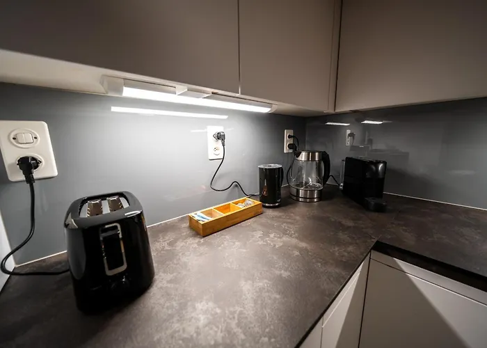 Lejlighed Large In Town Center Next To Brunngasse & Near *