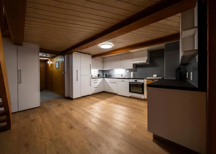 Large In Town Center Next To Brunngasse & Near Apartament Brienz (Bern)