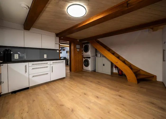 Large In Town Center Next To Brunngasse & Near Lejlighed