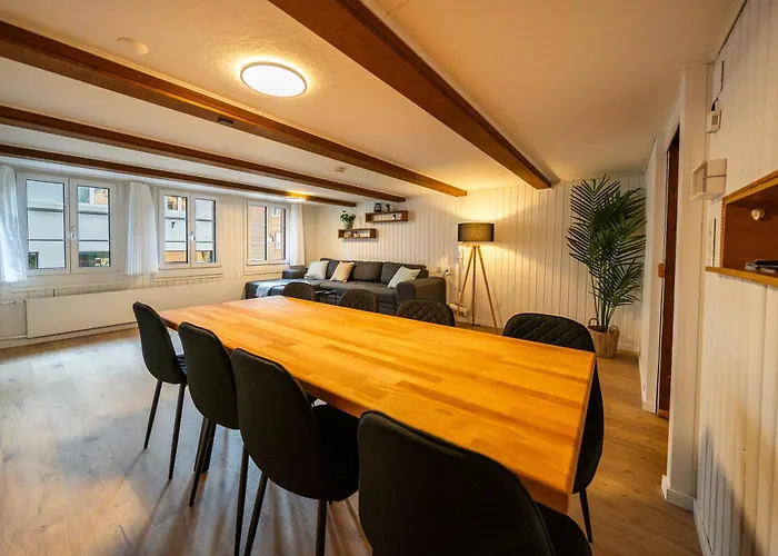 Lejlighed Large In Town Center Next To Brunngasse & Near