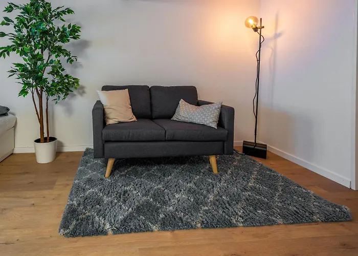 Lejlighed Large In Town Center Next To Brunngasse & Near *