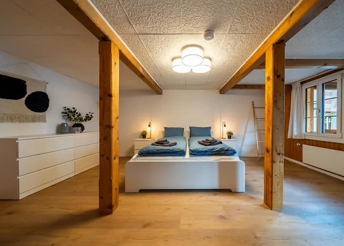 Large In Town Center Next To Brunngasse & Near Lejlighed