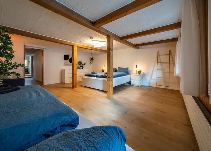 Large In Town Center Next To Brunngasse & Near