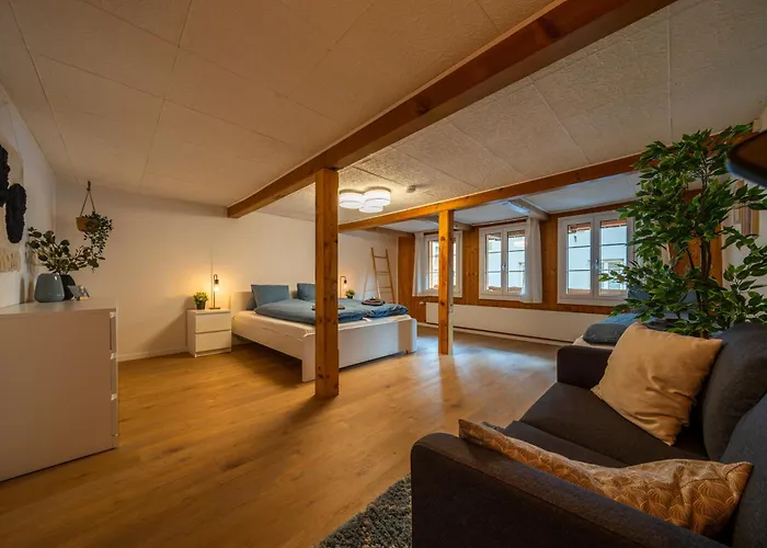 Lejlighed Large In Town Center Next To Brunngasse & Near Brienz (Bern)