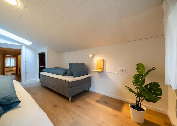 Large In Town Center Next To Brunngasse & Near Lejlighed