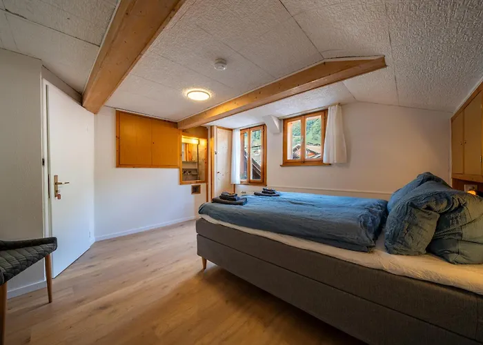 Apartament Large In Town Center Next To Brunngasse & Near Brienz (Bern)