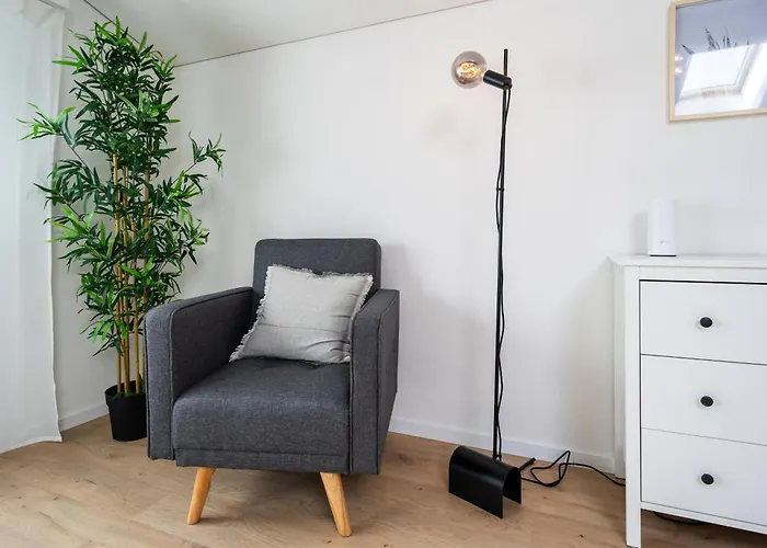 Large In Town Center Next To Brunngasse & Near