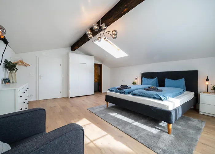 Large In Town Center Next To Brunngasse & Near Lejlighed Brienz (Bern)