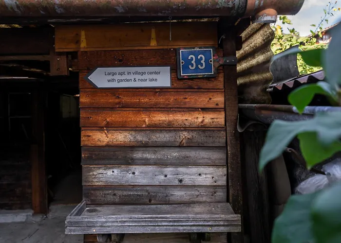 Large In Town Center Next To Brunngasse & Near Lejlighed