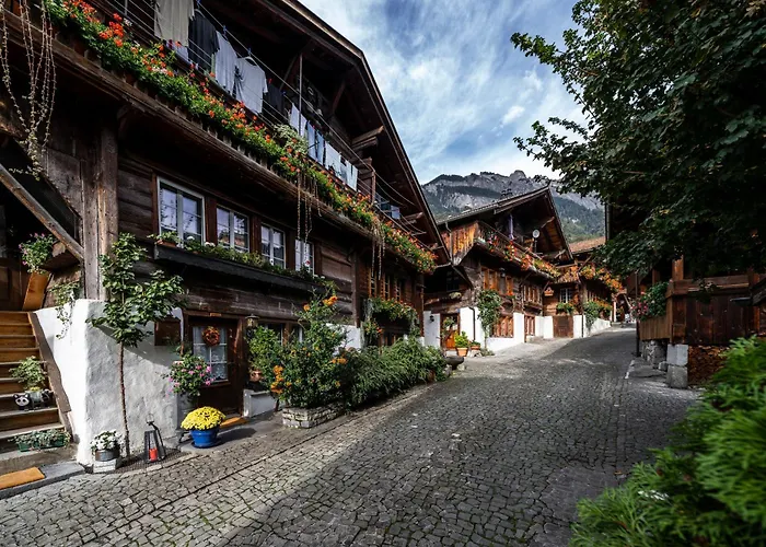 Large In Town Center Next To Brunngasse & Near