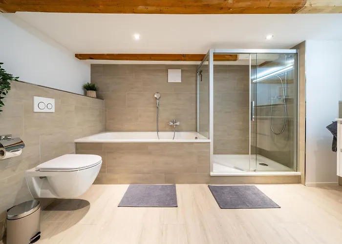 Large In Town Center Next To Brunngasse & Near