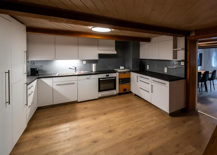 Apartament Large In Town Center Next To Brunngasse & Near