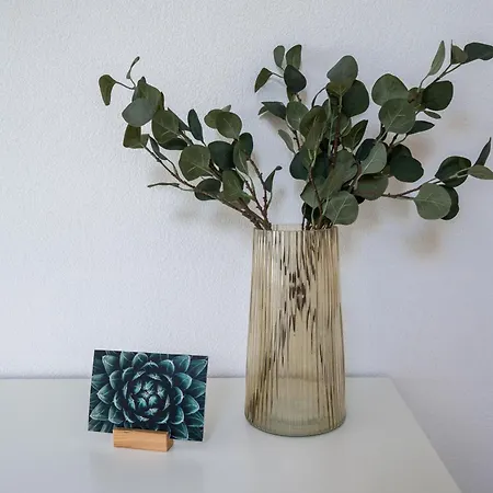 Large In Town Center Next To Brunngasse & Near Lägenhet Brienz (Bern)