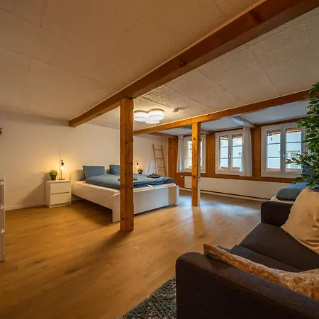 Lägenhet Large In Town Center Next To Brunngasse & Near Brienz (Bern)